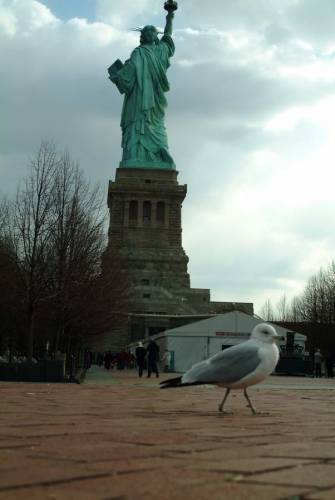 NYC_2006-12-05 12-35-51
